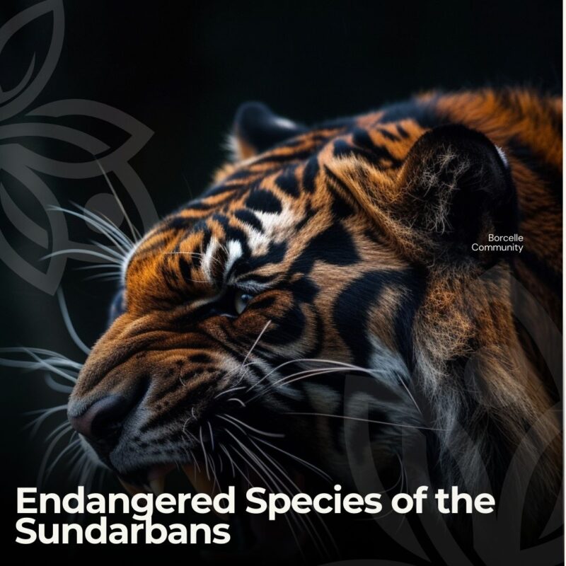 Endangered Species of the Sundarbans