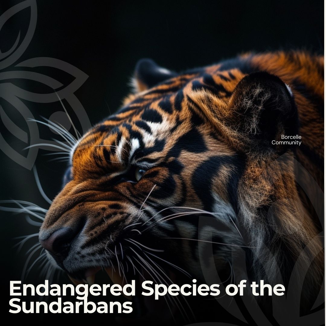 Endangered Species of the Sundarbans